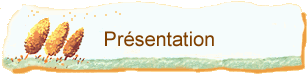    Prsentation