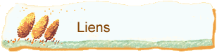     Liens